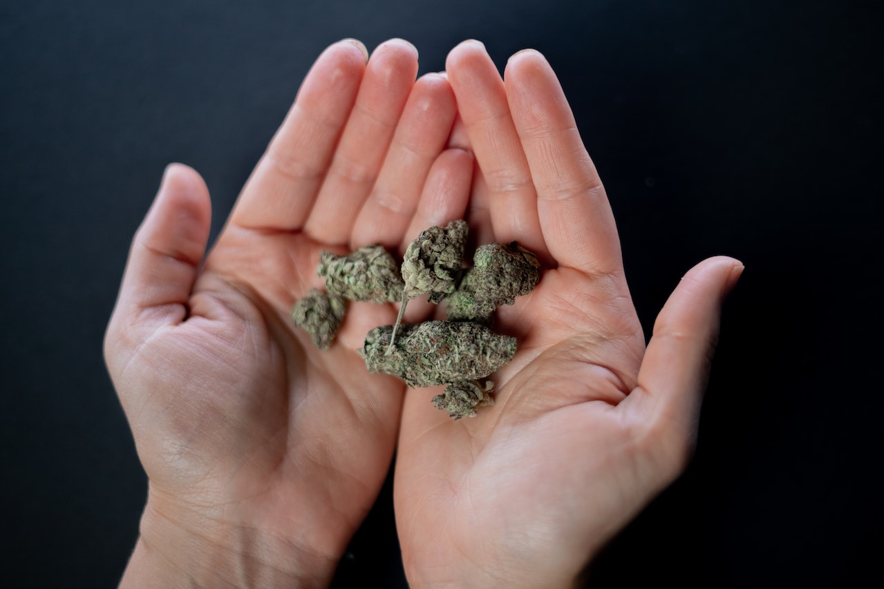 Le guide ultime du CBD : tout ce que vous devez savoir