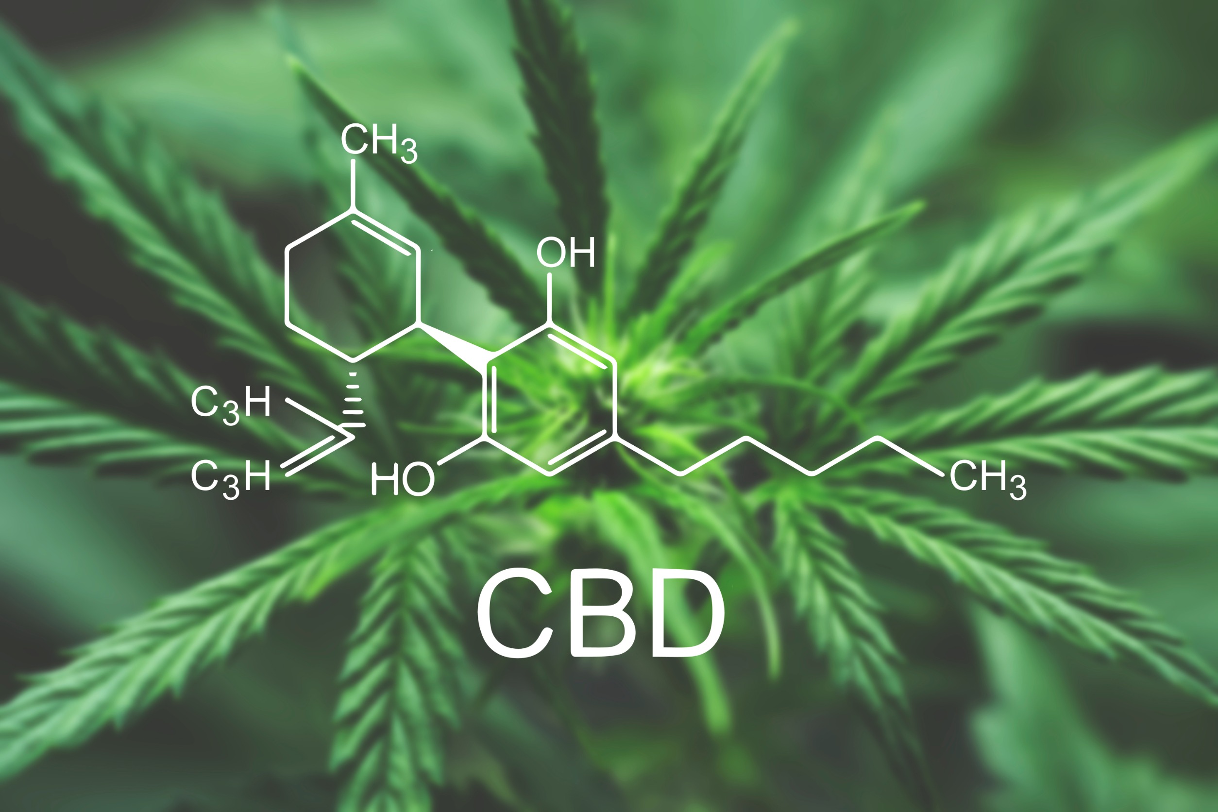 CBD : 10 choses importantes à savoir sur la substance