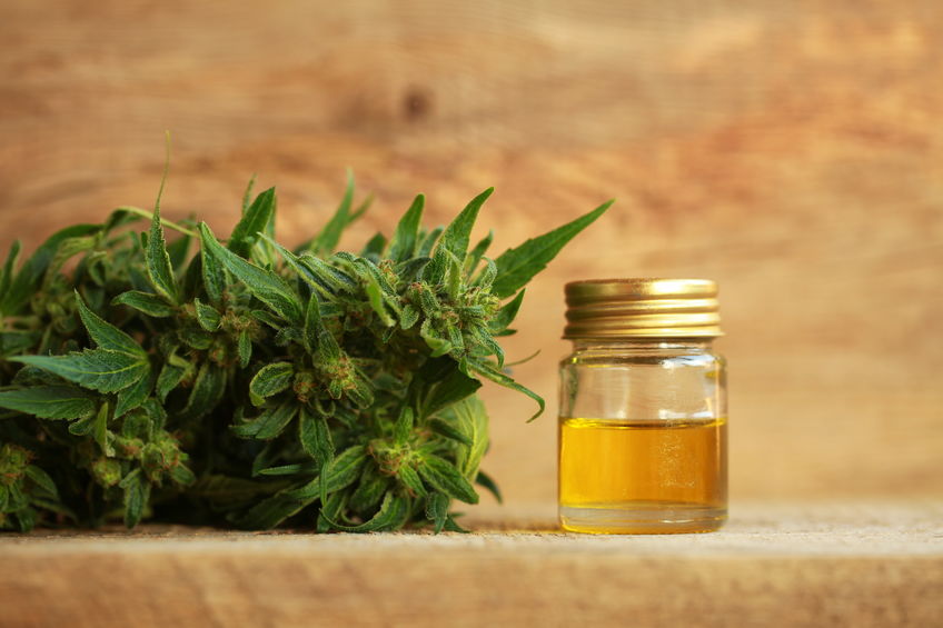 Comment choisir votre huile de CBD ?