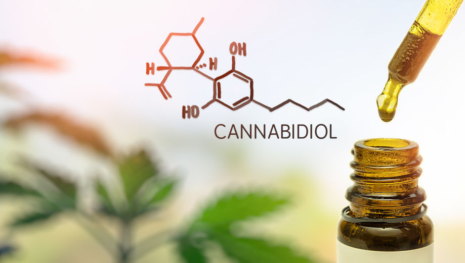 CBD : tout savoir pour une consommation maîtrisée et sécurisée