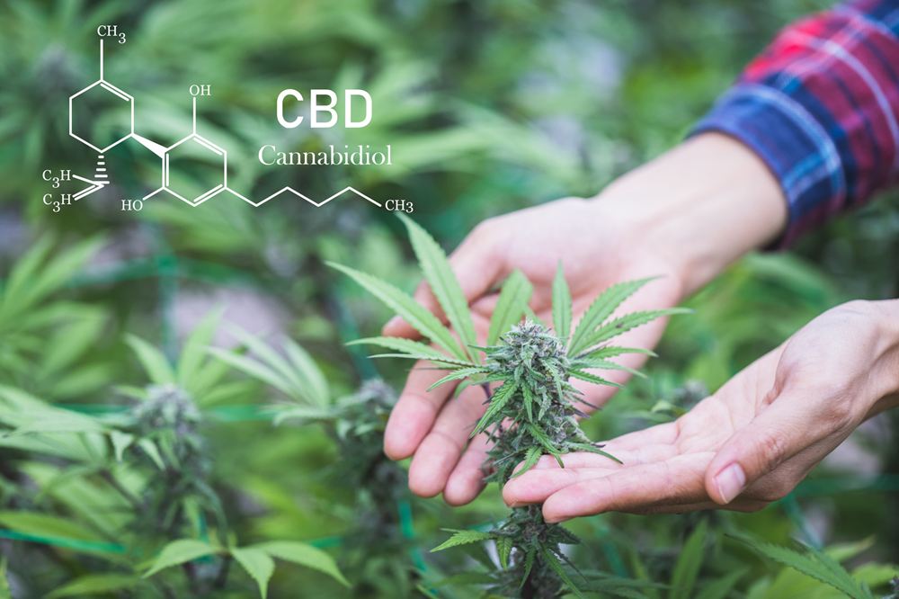 Le CBD : un nouvel espoir pour une meilleure santé mentale